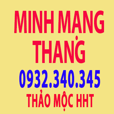 minhmangthanghht